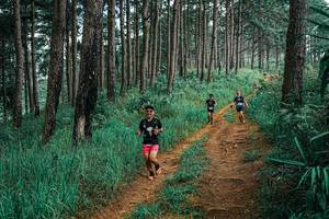 BIB: 
                            <button type="button" onclick="openModal(25655048)" class="btn btn-primary btn-sm float-right btn-popup" data-toggle="modal" data-target=".modal-high-quality">
                        <i class="fas fa-shopping-cart"></i> Add to Cart
                    </button>
                                            <button type="button" onclick="isThisMe(25655048, true)" class="btn btn-success btn-sm float-right btn-popup btn-isme hidden" data-toggle="tooltip" data-placement="bottom" title="นี่คือรูปของคุณใช่ไหม คลิกที่นี่เพื่อเอาเข้าอัลบั้ม">
                        <i class="fas fa-plus"></i> Add to album
                    </button>
                    <button type="button" onclick="isThisMe(25655048, false)" class="btn btn-warning btn-sm float-right btn-popup btn-isnotme hidden">
                        <i class="fas fa-ban"></i> Remove from album
                    </button>